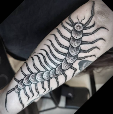 Tattoos - Bonnie Seeley Centipede - 142917
